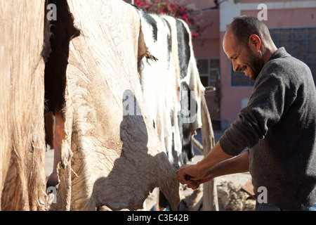 Gerberei, Walled Stadt von Taroudant, Sous-Tal, hoher Atlas, Marokko Stockfoto