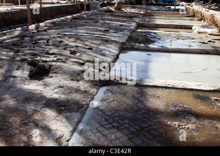 Gerberei, Walled Stadt von Taroudant, Sous-Tal, hoher Atlas, Marokko Stockfoto