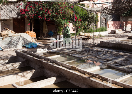 Gerberei, Walled Stadt von Taroudant, Sous-Tal, hoher Atlas, Marokko Stockfoto