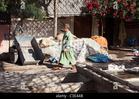 Gerberei, Walled Stadt von Taroudant, Sous-Tal, hoher Atlas, Marokko Stockfoto