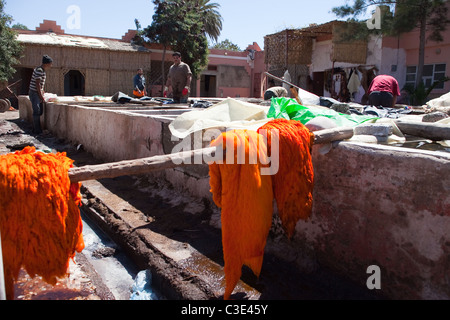Gerberei, Walled Stadt von Taroudant, Sous-Tal, hoher Atlas, Marokko Stockfoto