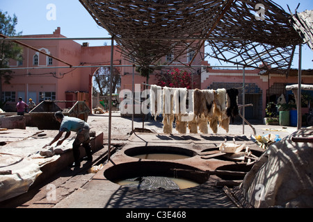 Gerberei, Walled Stadt von Taroudant, Sous-Tal, hoher Atlas, Marokko Stockfoto