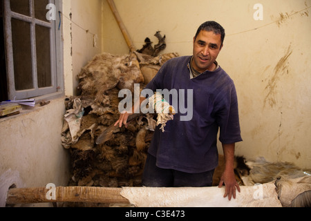 Gerberei, Walled Stadt von Taroudant, Sous-Tal, hoher Atlas, Marokko Stockfoto