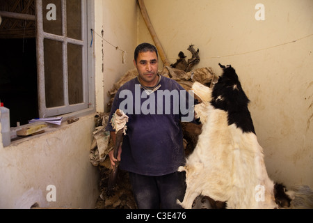 Gerberei, Walled Stadt von Taroudant, Sous-Tal, hoher Atlas, Marokko Stockfoto