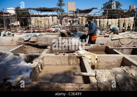 Gerberei, Walled Stadt von Taroudant, Sous-Tal, hoher Atlas, Marokko Stockfoto