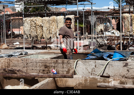Gerberei, Walled Stadt von Taroudant, Sous-Tal, hoher Atlas, Marokko Stockfoto