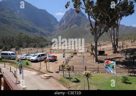 Fairy Glen Private Game Reserve, Western Cape, Südafrika Stockfoto