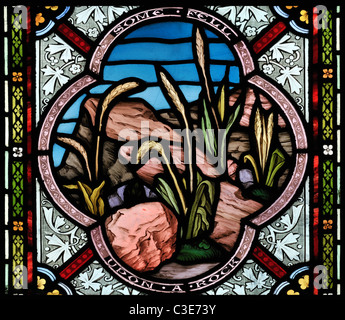 Glasmalerei-Fenster Darstellung "Samen, der auf einem Felsen gefallen war," Str. Marys Kirche, Burnham Deepdale, Norfolk, England Stockfoto
