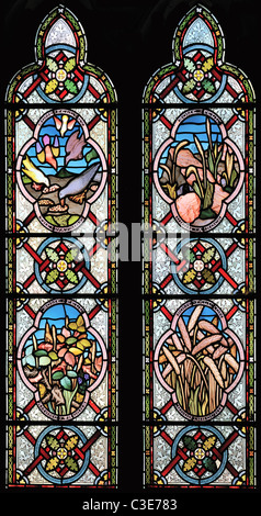 Glasmalerei-Fenster zeigt das Gleichnis vom Sämann, Str. Marys Kirche, Burnham Deepdale, Norfolk, England Stockfoto