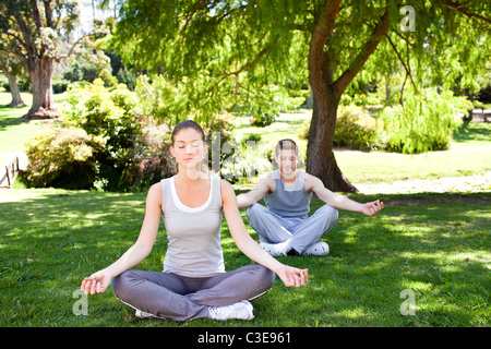 Paar praktizieren Yoga im park Stockfoto