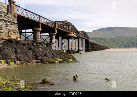 Die Cambrian Linie überqueren den Mawddach Mündung in Barmouth Wales Stockfoto