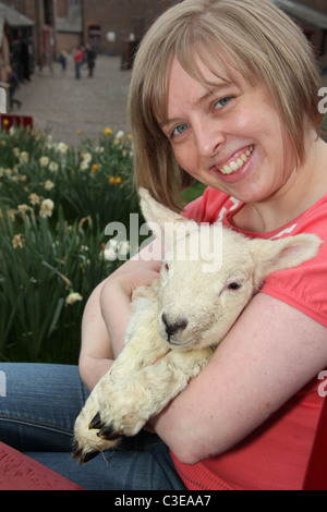 Nachlass von Tatton Park, England. Lady Besucher Kuscheln ein Neugeborenes Lamm an Tatton Park Home Farm. Stockfoto