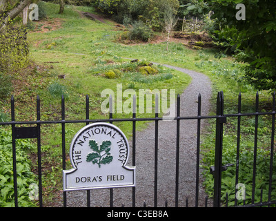 Dora's Feld an Rydal Village, Lake District, Cumbria, Großbritannien Stockfoto