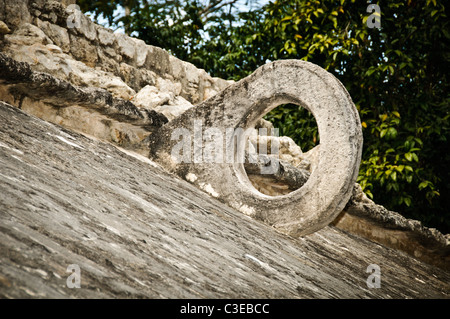 Coba archäologische Stätte Maya Ball Court Stone Hoop Coba Mexico // COBA, Mexiko – Ein Steinkorb, der an den Wänden eines von zwei Ballspielplätzen an der Ausgrabungsstätte Coba auf der mexikanischen Halbinsel Yucatan montiert ist. Das Maya-Ballspiel, bekannt als pitz in Classical Maya, war eine rituelle Sportart, die über Jahrhunderte in ganz Mesoamerika gespielt wurde, bei der Spieler Hüften und Oberschenkel benutzten, um einen soliden Gummiball im Spiel zu halten. Diese vertikalen Steinringe, die an einigen Stätten der Klassik wie Coba gefunden wurden, waren hoch auf Hofmauern positioniert und stellten wahrscheinlich eher symbolische als primäre Zielpunkte dar. Coba, ne Stockfoto