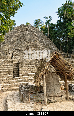 COBA, Mexiko – Schritte von La Iglesia im Hintergrund. Das kleine Gebäude mit dem Strohdach im Vordergrund wurde als Stela 11 in Coba bezeichnet, einem weitläufigen Maya-Ort auf der mexikanischen Halbinsel Yucatan, nicht weit von den berühmteren Ruinen von Tulum entfernt. Zwischen zwei Seen eingebettet, hat Coba schätzungsweise mindestens 50.000 Einwohner auf seinem präkolumbianischen Gipfel beherbergt. Stockfoto