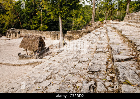 COBA, Mexiko – aufgenommen von einem Teil der 120 Stufen von La Iglesia in Coba, einem weitläufigen Maya-Ort auf der mexikanischen Halbinsel Yucatan, nicht weit von den berühmteren Ruinen von Tulum entfernt. Zwischen zwei Seen eingebettet, hat Coba schätzungsweise mindestens 50.000 Einwohner auf seinem präkolumbianischen Gipfel beherbergt. Stockfoto