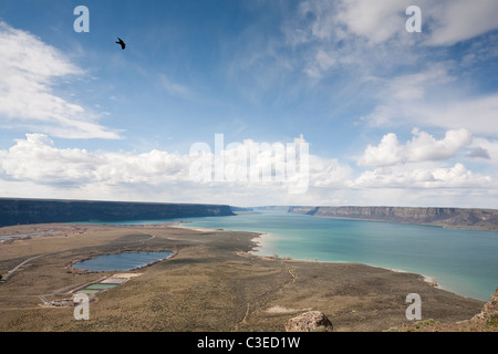 Banken-See von der Spitze des Steamboat Rock - Steamboat Rock State Park, Grant County, Washington. Ein Rabe fliegt über Kopf. Stockfoto