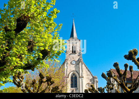 Tilleul Bäume vor Boussay Kirche - Indre-et-Loire, Frankreich. Stockfoto