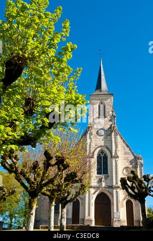 Tilleul Bäume vor Boussay Kirche - Indre-et-Loire, Frankreich. Stockfoto