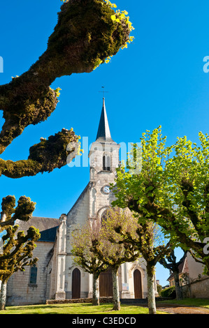 Tilleul Bäume vor Boussay Kirche - Indre-et-Loire, Frankreich. Stockfoto