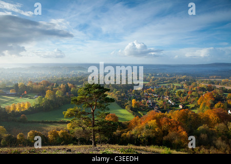 Herbstliche Ansicht Süd aus Reigate Colley Hill The North Downs Surrey England Stockfoto