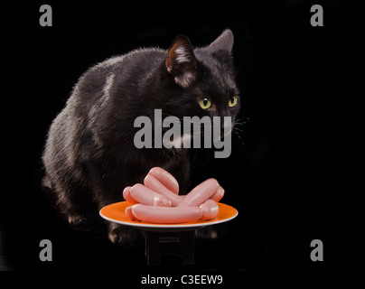 Schwarze Katze und einen Teller mit rohen Würste auf schwarzem Hintergrund isoliert Stockfoto