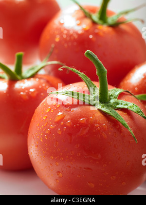 Reben gereifte Tomaten Stockfoto