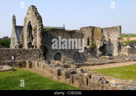 Ruinen des 12. Jahrhunderts St. Dogmaels Abbey Website ein Pre Norman Kloster Pembrokeshire Wales Cymru UK GB Stockfoto