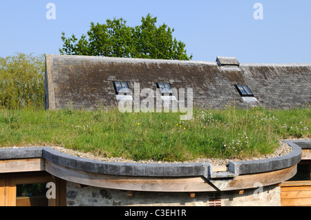 Eco-Dach OnSt Dogmaels Abtei Coach House Visitor Centre und Cafe Pembrokeshire Wales Cymru UK GB Stockfoto