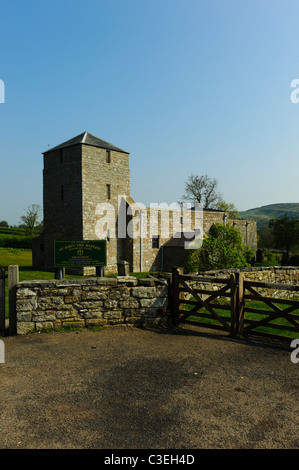 Edlingham Kirche, Northumberland Stockfoto