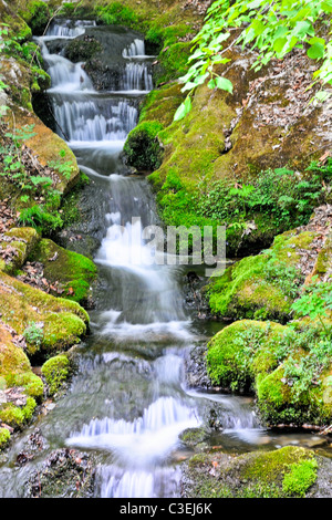 Cascading Wasserfall, Schritte nach unten über Moos abgedeckt Felsen.  Wasser ist künstlerisch weich fließend als ob fällt. Stockfoto