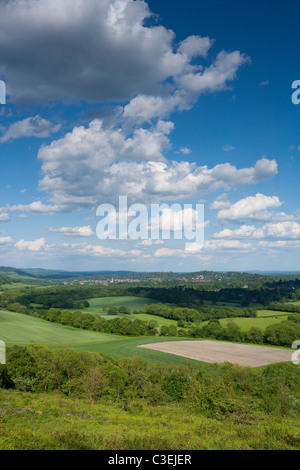 Blick über die Surrey Hills in der Nähe von Dorking im Sommer, grüne Felder, blauer Himmel, weiße Wolken. Surrey England Stockfoto