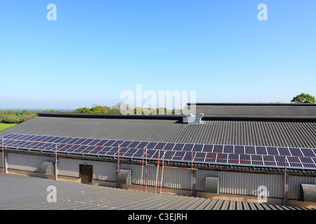 Teil einer 50kWp Photovoltaik-Solaranlage auf dem Dach von einem Geflügel-Schuppen in Shropshire, UK Stockfoto