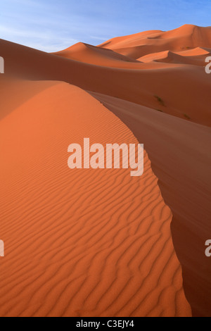 Licht des frühen Morgens auf den massiven Dünen des Erg Chebbi in der Nähe von Merzouga in Marokko Stockfoto