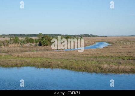 South Carolina. Marsh & Feuchtgebiet Lebensraum in Atlantic Intracoastal Wasser-Strasse zwischen Beaufort & Charleston. Stockfoto