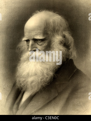 William Cullen Bryant - romantische Dichter, Journalist und langjähriger Herausgeber der the Saturday Evening Post 1876 Stockfoto