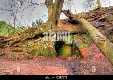 Alten Mine Eingang, The Edge, Alderley Edge, Cheshire, England, UK Stockfoto