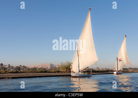 Zwei Feluke Segeln auf dem Nil bei Sonnenuntergang, Luxor, Ägypten, Nordafrika Stockfoto