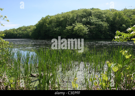 Eastman See, Durand-Eastman Park Stockfoto