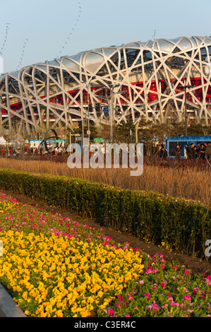 Vogels Nest Nationalstadion von Architekten Herzog und De Meuron, 2008 Olympic Green, Peking, China, Asien. Stockfoto