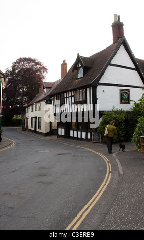 Der grüne Drache Pub in Wymondham, Norfolk Stockfoto