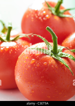 Reben gereifte Tomaten Stockfoto