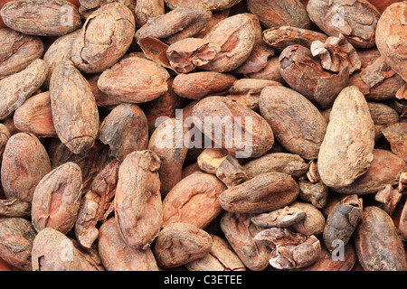 Hintergrundbild von Kakao oder Kakao-Bohnen Stockfoto