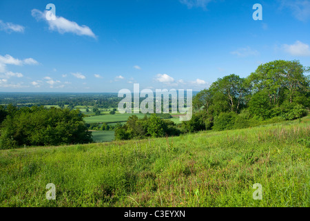 Blick über die Surrey Hills von Colley Hügel in der Nähe von Reigate im Sommer, grüne Felder, blauer Himmel, weiße Wolken England Stockfoto