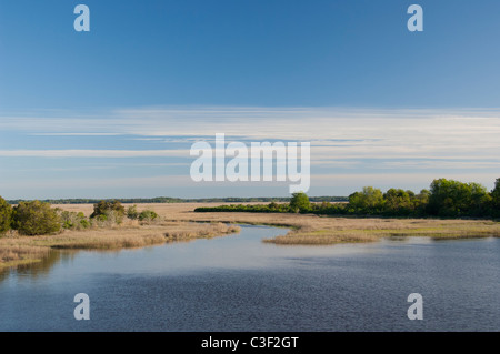 South Carolina. Marsh & Feuchtgebiet Lebensraum in Atlantic Intracoastal Wasser-Strasse zwischen Beaufort & Charleston. Stockfoto