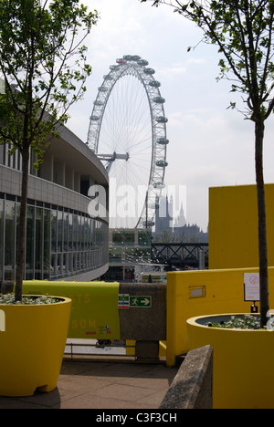 Dachgarten auf der South Bank Centre. Westminster. London. England. Mit London Eye im Hintergrund Stockfoto