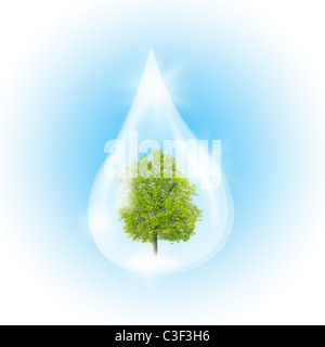 Grüner Baum in einen sauberen Tropfen Wasser als Symbol des Umweltschutzes. Stockfoto