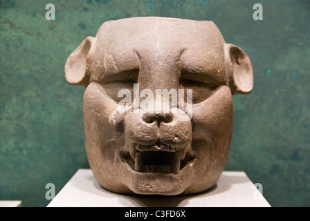 Mexiko-Stadt. Nationales Museum der Anthropology.Maya Kultur. Kopf des Jaguars. Stockfoto