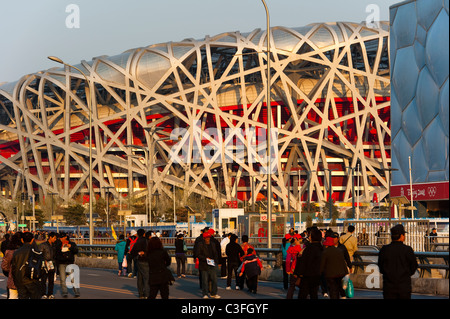Vogels Nest National Stadium und Watercube nationale Schwimmzentrum, 2008 Olympic Green, Peking, China, Asien. Stockfoto