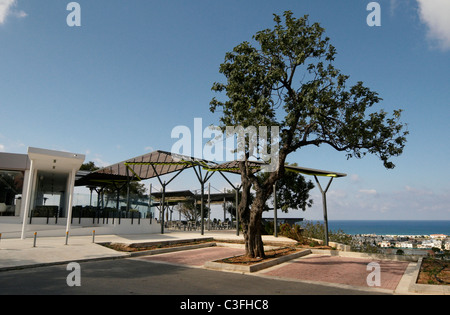 Das moderne Design des Restaurants und der Bar Muse hoch über Paphos in der Altstadt Stockfoto